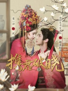 携君破晓全集