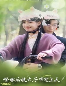 替嫁后被太子爷宠上天全集