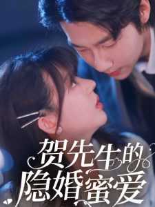 贺先生的隐婚蜜爱全集