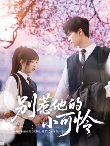 别惹他的小可怜全集
