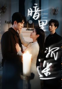 暗里沉迷全集