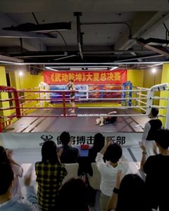 武驰人生2之飓风营救全集