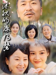 深秋的康乃馨全集
