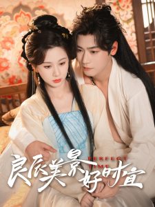 良辰美景好时宜全集