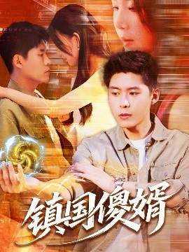 镇国傻婿全集