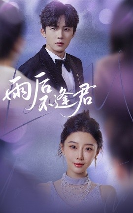 雨后不逢君全集