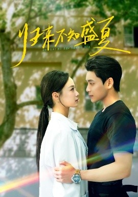 归来不知盛夏全集