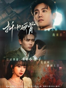 折他硬骨全集