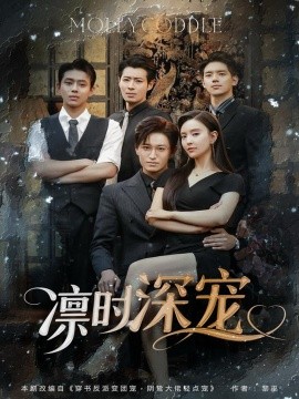凛时深宠全集