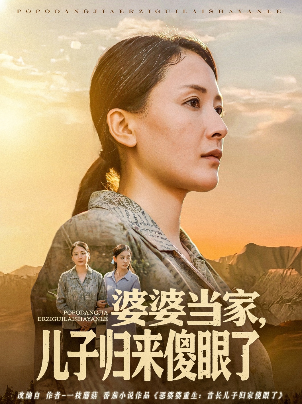 婆婆当家儿子归来傻眼了全集