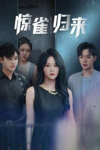 惊雀归来全集