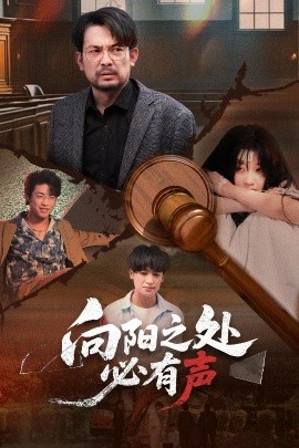 向阳之处必有声全集