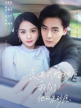 丧偶式婚姻后我成了他的朱砂痣全集