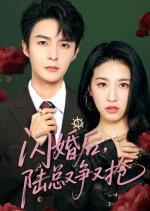 闪婚后陆总又争又抢全集