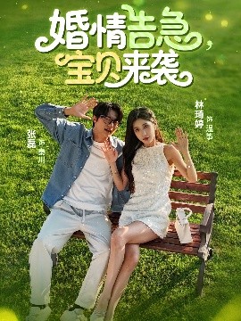 婚情告急，宝贝来袭全集