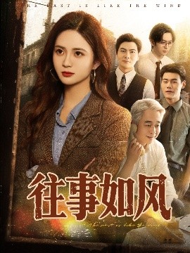 往事如风全集