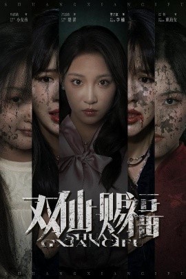 双仙赐福全集