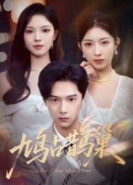 鸠占鹊巢&顶流夫人的致命陷阱全集