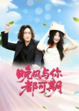 晚风与你都可期全集