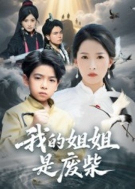 我的姐姐是废柴全集