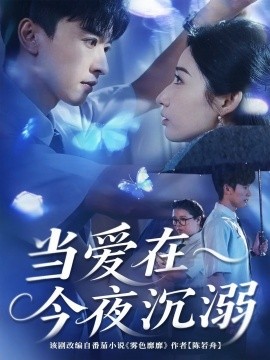 当爱在今夜沉溺全集