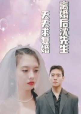 离婚后沈先生天天求复婚全集