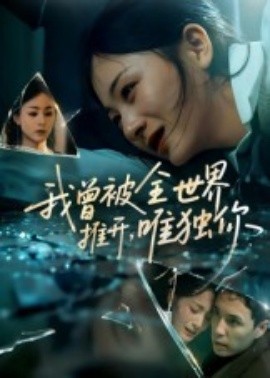 我曾被全世界推开唯独你全集
