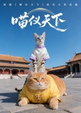 喵仪天下全集