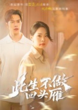 此生不做回头雁全集