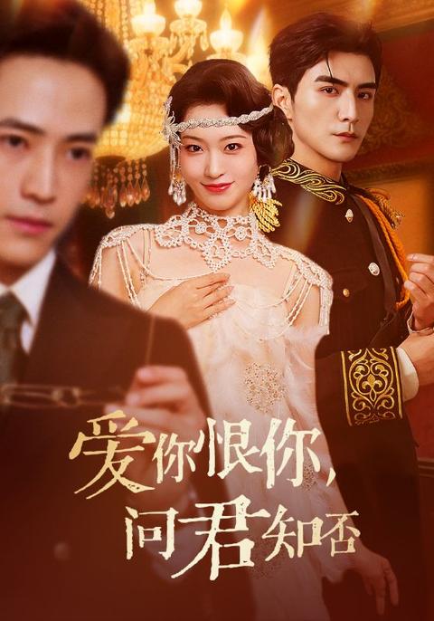 爱你恨你问君知否全集