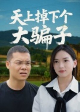 天上掉下个大骗子全集
