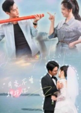 月亮不曾拥抱你全集