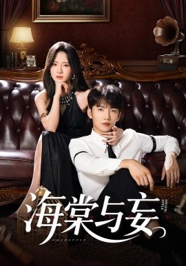 海棠与妄全集