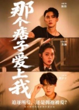 那个痞子爱上我全集