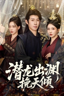 潜龙出渊挽天倾全集