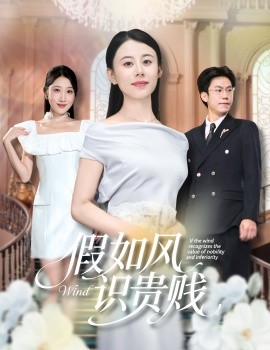 假如风识贵贱全集