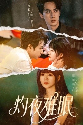 灼夜难眠全集