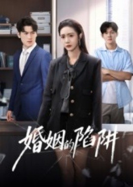 婚姻的陷阱全集