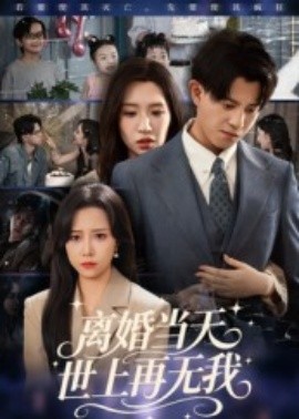 离婚当天世上再无我全集