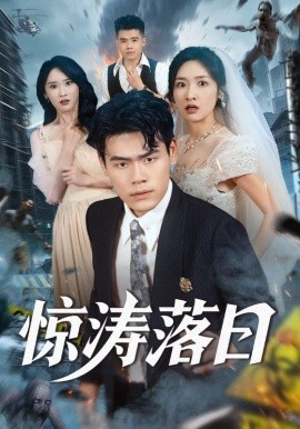 惊涛落日全集