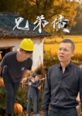 兄弟债全集