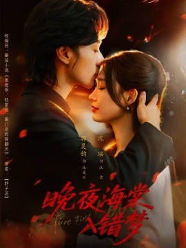 晚夜海棠入错梦全集