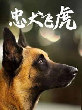 忠犬飞虎全集