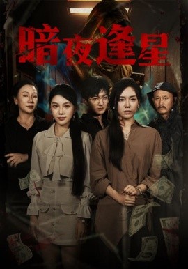 暗夜逢星全集
