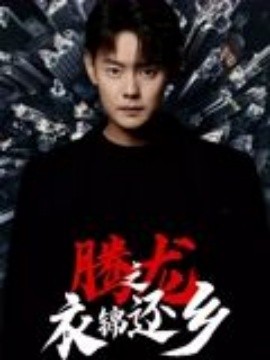 腾龙之衣锦还乡全集