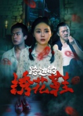 路边的绣花鞋全集