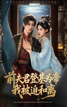 前夫君登基为帝我被迫和离全集