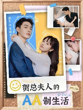 贺总夫人的AA制生活全集