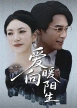 爱向暖阳生全集