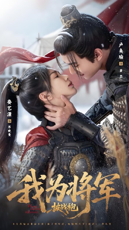 我为将军披战袍全集